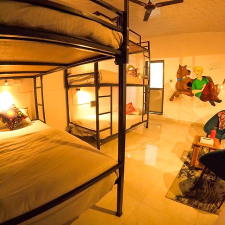 Hotel Funky Backpackers Udajpur Zewnętrze zdjęcie
